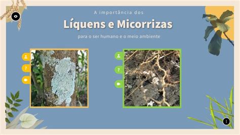 Liquens E Micorrizas - Líquens e Micorrizas | Genially