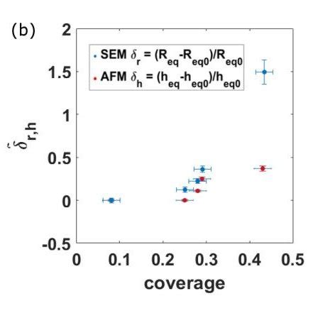 From left to right: (a) histogram in logarithmic scale of the height of ...