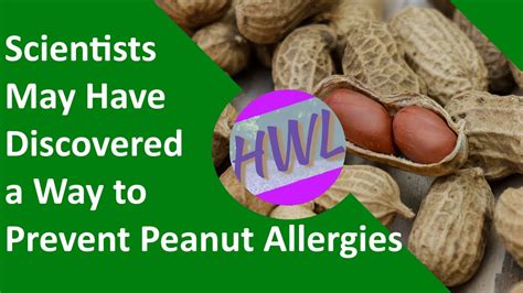 Scientists May Have Discovered A Way To Prevent Peanut Allergies Youtube