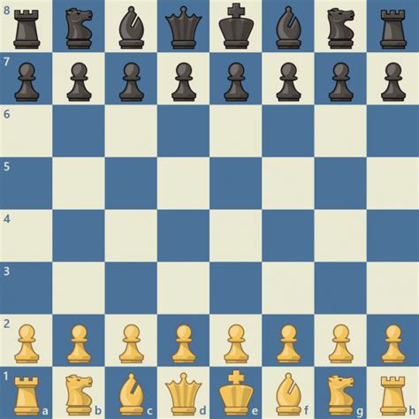 Quantas Pecas Tem O Xadrez - Peças de Xadrez - Termos de Xadrez - ChessKid.com