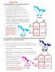 Unicorn Genetics Sex Linked Traits Punnett Squares Worksheet Genetics