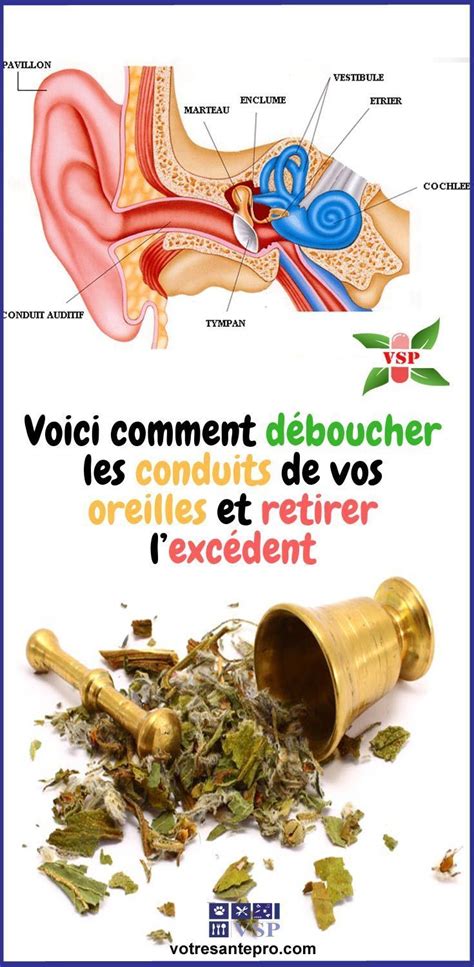 Voici Comment D Boucher Les Conduits De Vos Oreilles Et Retirer L