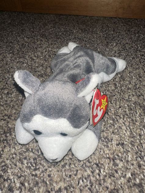 Ty Beanie Baby Nanook The Husky Dog 75 Inch Stuffed Plush Toy Ebay