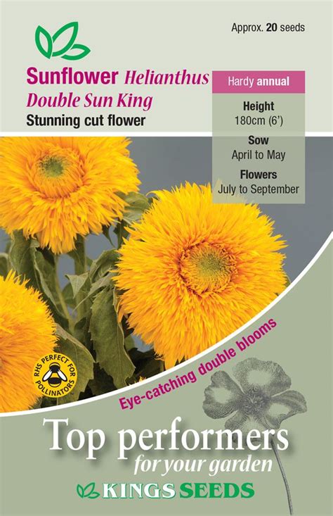 kings seeds sunflower double sun king seeds justseed