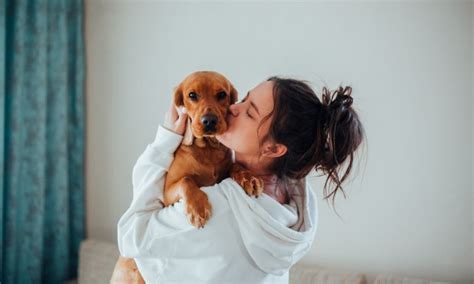 Discover the Hidden Joys of Adopting Your New Furry Friend: A Heartwarming Journey! - Hunter Games Magazine
