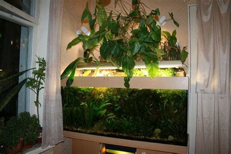 Фитофильтр для аквариума своими руками: изготовление и устройство ...