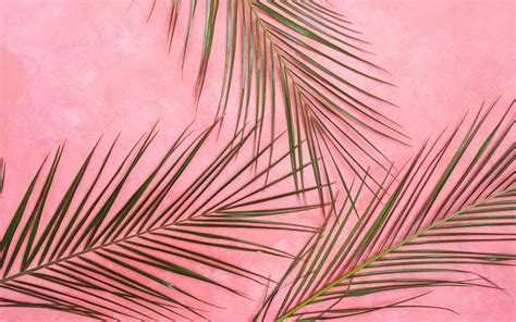 pastel  wallpapers top  pastel  backgrounds wallpaperaccess