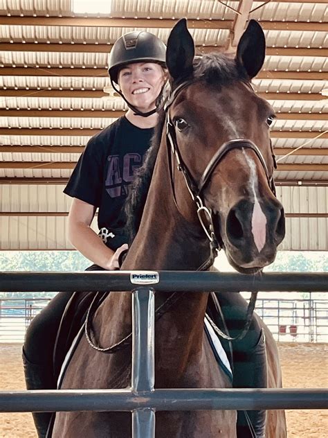 ☺️Sam and Bubbles☺️ We... - Powell Performance Horses, LLC