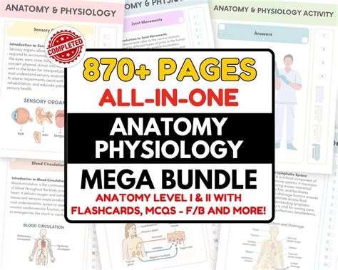 mega bundle complete anatomy physiology bundle quiz flashcards