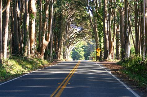 Road Landscape Countryside Free Photo On Pixabay Pixabay