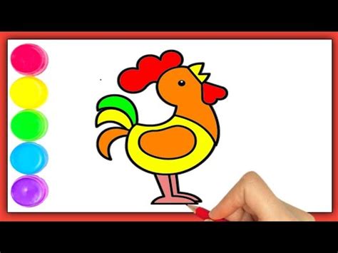 HOW TO DRAW A COCK STEP BY STEP YouTube