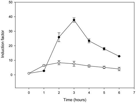 Induction Of β Lactamase Synthesis In Presence Induced Or Not