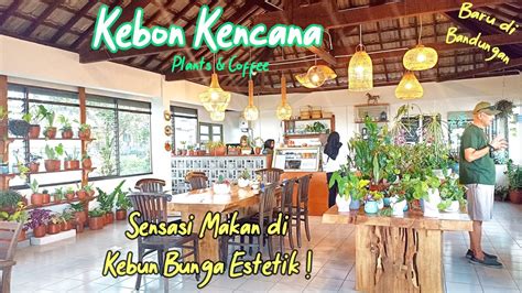 Kebon Kencana Plants Coffee Wisata Kuliner Bandungan Terbaru 2022