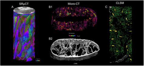 Forensic Sciences | An Open Access Journal from MDPI
