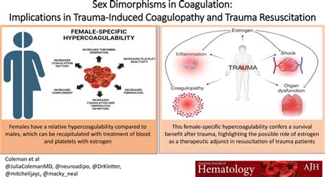 Sex Dimorphisms In Coagulation Implications In Trauma Induced Coagulopathy And Trauma