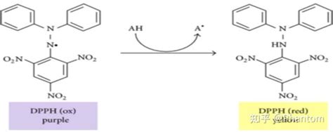 生化实验 DPPH自由基清除实验 知乎