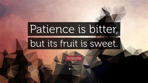 Patience Is Bitter But Fruit Is Sweet Expansion Of Idea 2