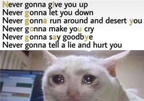 Nigga You Gay Meme Subido Por T T Memedroid