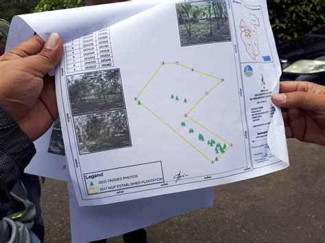 Baguio Heritage Site Trees To Give Way To Executive Secretarys Cottage