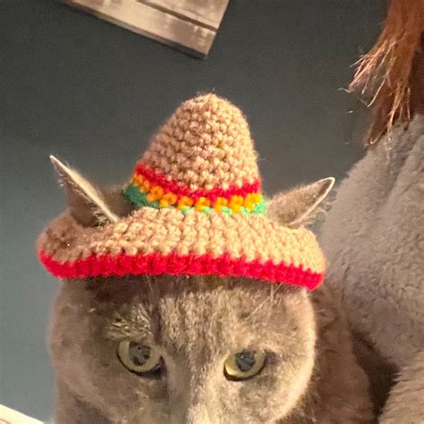 Cat Sombrero Crochet Pattern Crochet Instructions For Pet Size