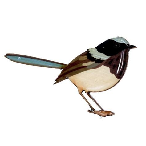 brooch australian bird  crooked house