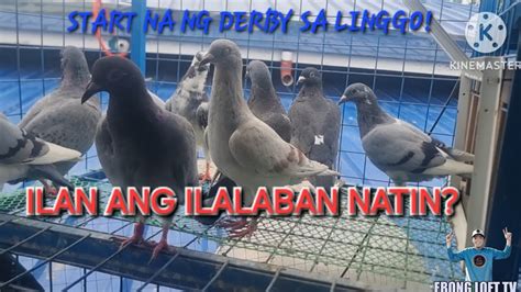 Derby Na Sa Linggo Ilan Ang Ilalaban Natin YouTube