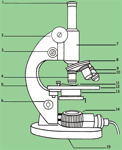 Partes Del Microscopio