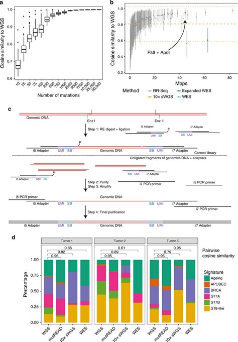 Comparative Analysis Of Mutational Signatures And Method Overview A