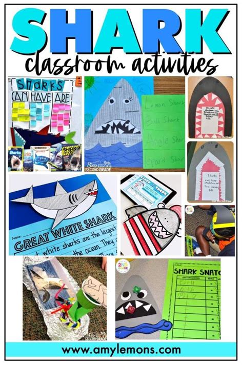 Shark Classroom Activities Artofit