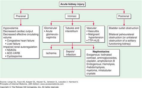 Acute Kidney Injury