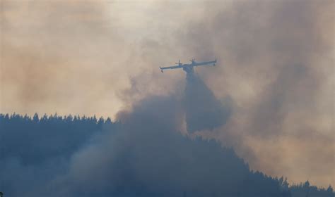 Unseasonal heat sparks dozens of wildfires in Spain | Reuters