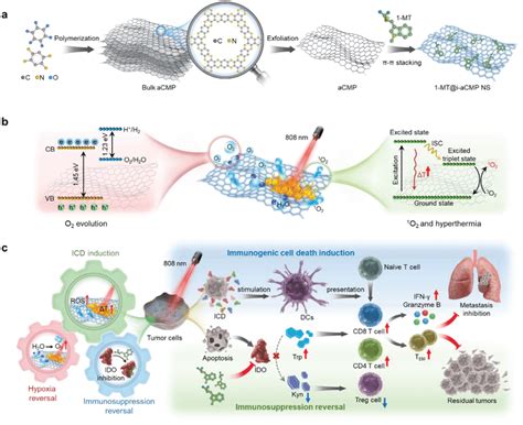 Oxygen O Selfsupplementing Azafused Conjugated Microporous Polymer