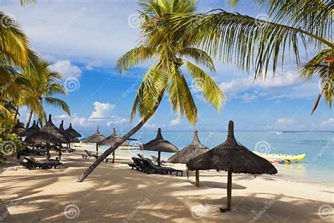 Paradise Beachhoneymoon On Tropical Island Of Mauritius Editorial