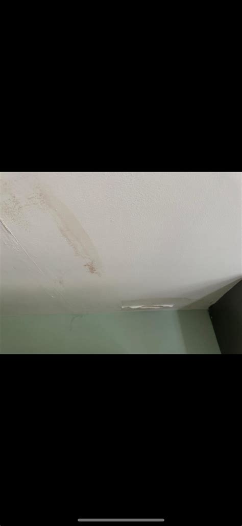 Leaking flat roof? : r/DIYUK