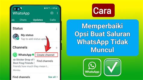 Cara Memperbaiki Opsi Buat Saluran Whatsapp Tidak Muncul Pembaruan