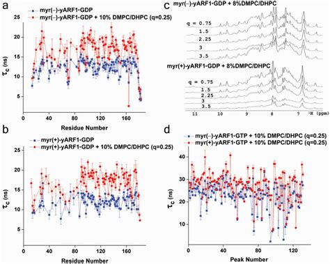 A And B The Residue Specific Effective Rotational Correlation Times Of