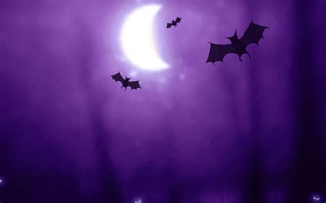 Purple Halloween Wallpapers On Wallpaperdog