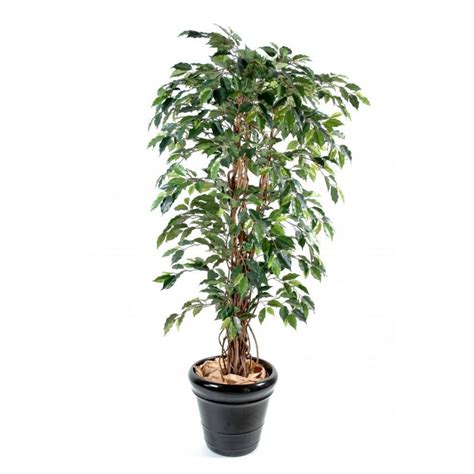 Ficus Artificiel Lianes Grandes Feuilles Cm