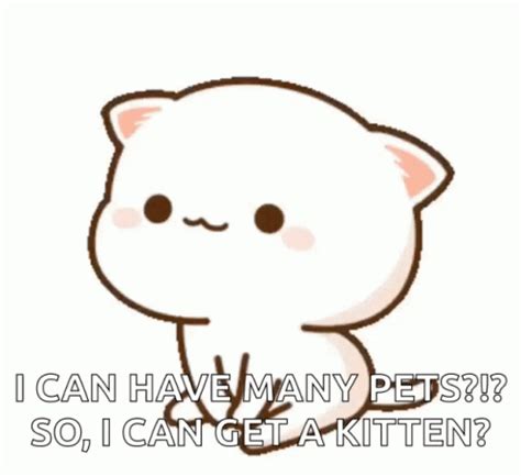 cute kitty gif cute kitty tailwag discover share gifs