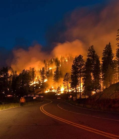 Берегите лес от пожара! «Лес - наше богатство. Берегите лес от пожара ...