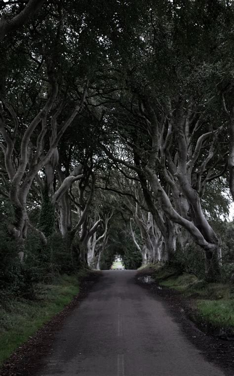 10 Magical Places in Northern Ireland (Straight Out of a Fairytale!)