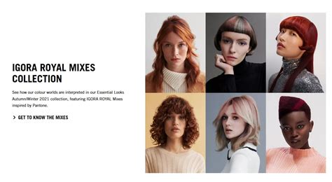 Schwarzkopf Professional Igora Royal 8 4 Light Blonde Beige 60ml