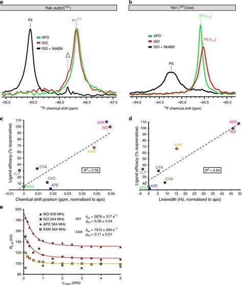 ¹⁹F NMR spectroscopy of β1AR TM6 and TM7 The individual helices were