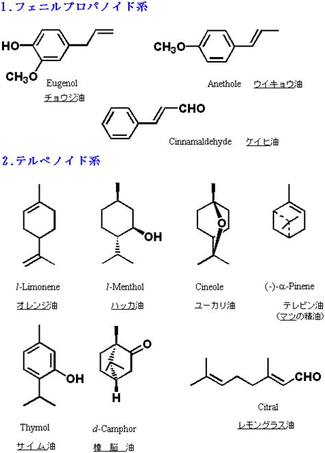 主な精油成分の構造
