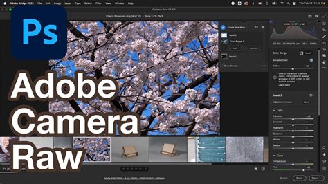 Master Adobe Camera Raw Essential Guide For Stunning Photos Youtube