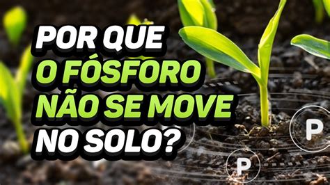 POR QUE O FÓSFORO NÃO SE MOVE NO SOLO YouTube