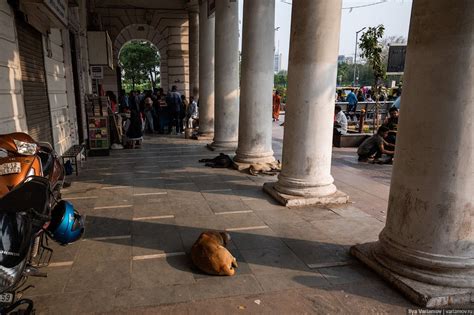 Индия больше не воняет! — Teletype