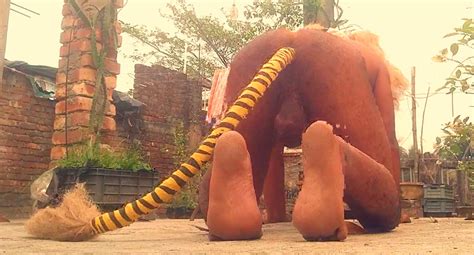 Iionman Desi Lionman Nude Pics XHamster