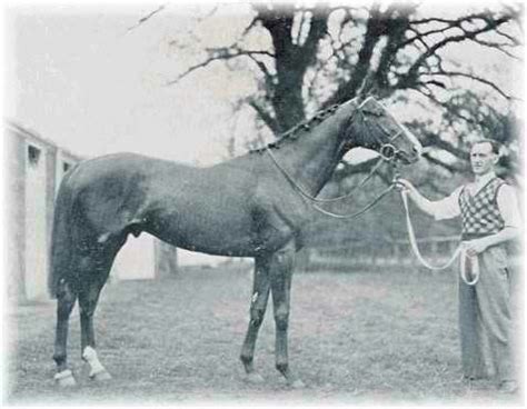 Omaha Kentucky Derby Winner Triple Crown Winner Jockey Willie