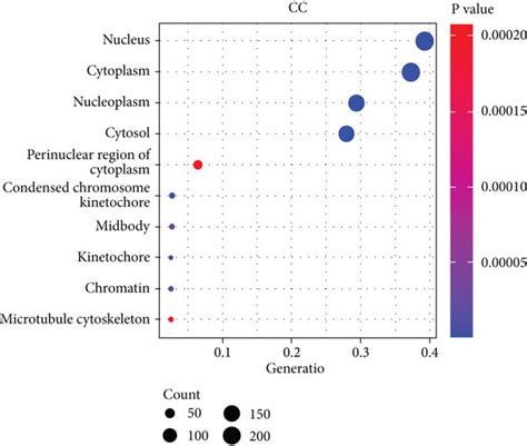 Potential Gene Annotations And Prospective Pathways Of Arnt Related